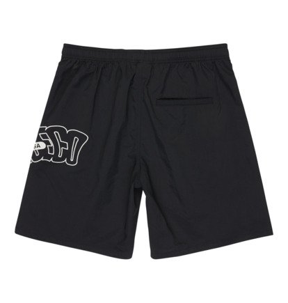 DC Omega Volley 19" - Swim Shorts for Men  EDYJV03031