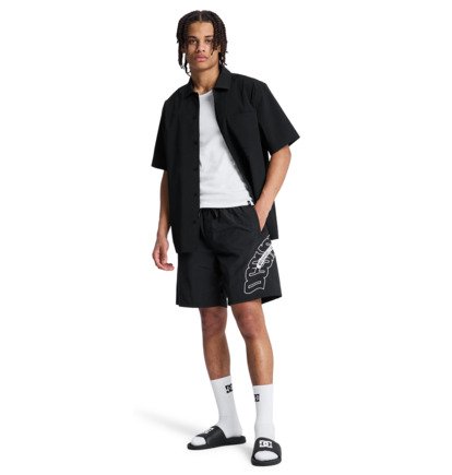 DC Omega Volley 19" - Swim Shorts for Men  EDYJV03031