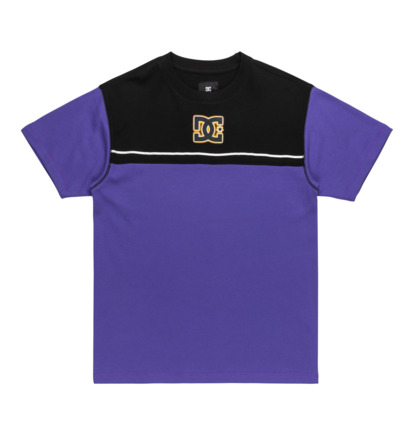 Stripe Stone - Short Sleeves T-Shirt for Men  EDYKT03533