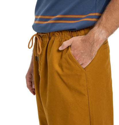 dcshoes, Framed - Elasticated Waist Trousers for Men, GOLDEN BROWN (cpd0) Framed - Elasticated Waist Trousers for Men  EDYNP03169