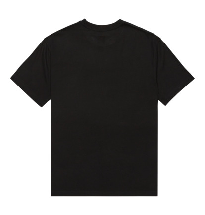 DC Star Filled - Short Sleeve T-Shirt for Men  EDYZT04348
