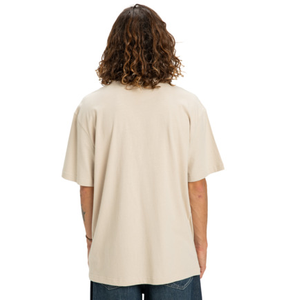 dcshoes, DC Star Filled - T-Shirt à manches courtes pour Homme, OATMEAL (tfl0) DC Star Filled - Short Sleeve T-Shirt for Men  EDYZT04348