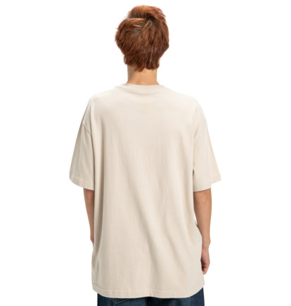 dcshoes, Elective - Camiseta de manga corta para hombre, OATMEAL (tfl0) Elective - Short Sleeve T-Shirt for Men  EDYZT04361
