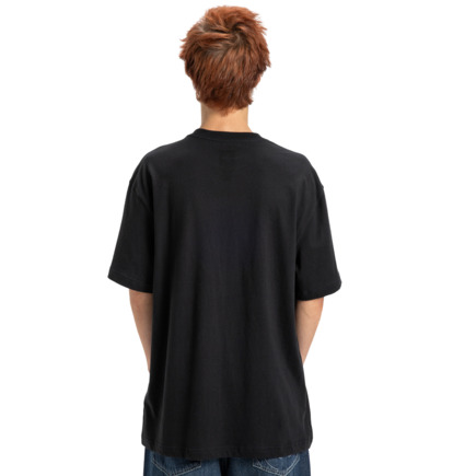 dcshoes, Substitute - T-Shirt à manches courtes pour Homme, BLACK (kvj0) Substitute - Short Sleeve T-Shirt for Men  EDYZT04373