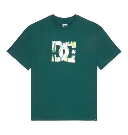 DC Star Filled - Short Sleeve T-Shirt for Men  EDYZT04410