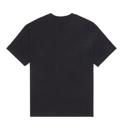 DC Star Filled - Short Sleeve T-Shirt for Men  EDYZT04410