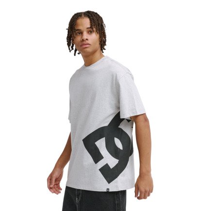 DC Lanai - Short Sleeve T-Shirt for Men  EDYZT04414