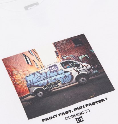 DC Painted Van  EDYZT04479