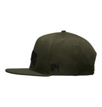 Semi-Pro - Men's Green Snapback Cap | DC Shoes