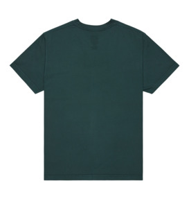 dcshoes, DC Star Pigment Dye - T-Shirt à manches courtes pour Homme, PONDEROSA PINE (gtp0) DC Star Pigment Dye - Short Sleeve T-Shirt for Men  ADYZT05374