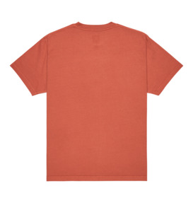 dcshoes, DC Star Pigment Dye - Maglietta a maniche corte da Uomo, PICANTE (nqv0) DC Star Pigment Dye - Short Sleeve T-Shirt for Men  ADYZT05374