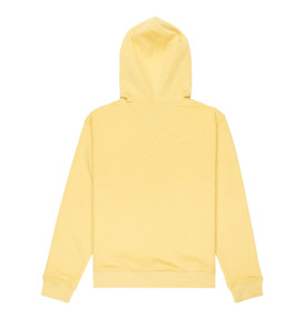 dcshoes, Tire Fire - Felpa con cappuccio da Ragazzo 8-16, DUSKY CITRON (yfw0) Tire Fire - Hoodie for Boys 8-16  EDBSF03132