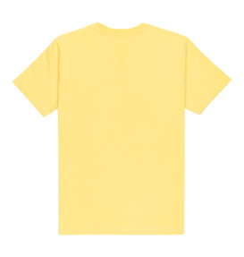 dcshoes, Tire Fire - Short Sleeve T-Shirt for Boys 8-16, DUSKY CITRON (yfw0) Tire Fire - Short Sleeve T-Shirt for Boys 8-16  EDBZT03442