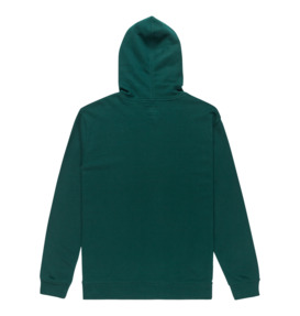dcshoes, DC Star - Felpa con cappuccio da Uomo, PONDEROSA PINE (gtp0) DC Star - Hoodie for Men  EDYSF03261