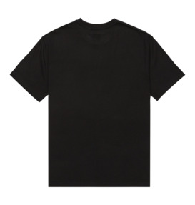 dcshoes, DC Star Filled - T-Shirt à manches courtes pour Homme, BLACK (kvj0) DC Star Filled - Short Sleeve T-Shirt for Men  EDYZT04348