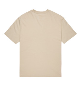 dcshoes, DC Star Filled - T-Shirt à manches courtes pour Homme, OATMEAL (tfl0) DC Star Filled - Short Sleeve T-Shirt for Men  EDYZT04348