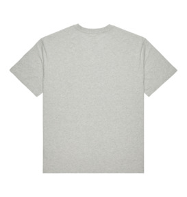 dcshoes, Global Storm - T-Shirt à manches courtes pour Homme, LIGHT HEATHER GREY (sfrh) Global Storm - Short Sleeve T-Shirt for Men  EDYZT04350