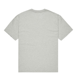 dcshoes, Substitute - T-Shirt à manches courtes pour Homme, LIGHT HEATHER GREY (sfrh) Substitute - Short Sleeve T-Shirt for Men  EDYZT04373