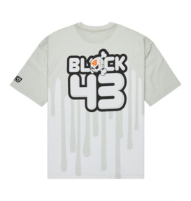 dcshoes, BIG DRIP HSS - Camiseta para hombre, WHITE (wbb0) BIG DRIP HSS - T-Shirt for Men  EDYZT04387