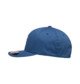 ENSIGN BLUE (brd0)
