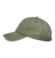 DEEP LICHEN GREEN (tpc0)