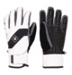 Franchise - Technical Snowboard/Ski Gloves for Men  ADYHN03030