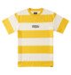 GOLDEN ROD STRIPE (xywy)