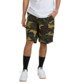 CAMO (xgck)