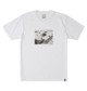 LILY WHITE ACID WASH (wcqw)