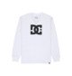 WHITE (wht)