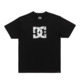 DC Star Skully - Short Sleeves T-Shirt for Men  ADYZT05461