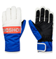 Franchise - Ski/Snowboard Gloves for Men  EDYHN03036