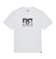 WHITE (wbb0)