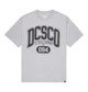 LIGHT HEATHER GREY (sfrh)