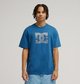 ENSIGN BLUE (brd0)