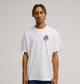WHITE (wht)