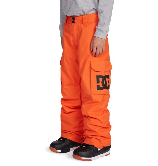 Deals Boys snowboard pants