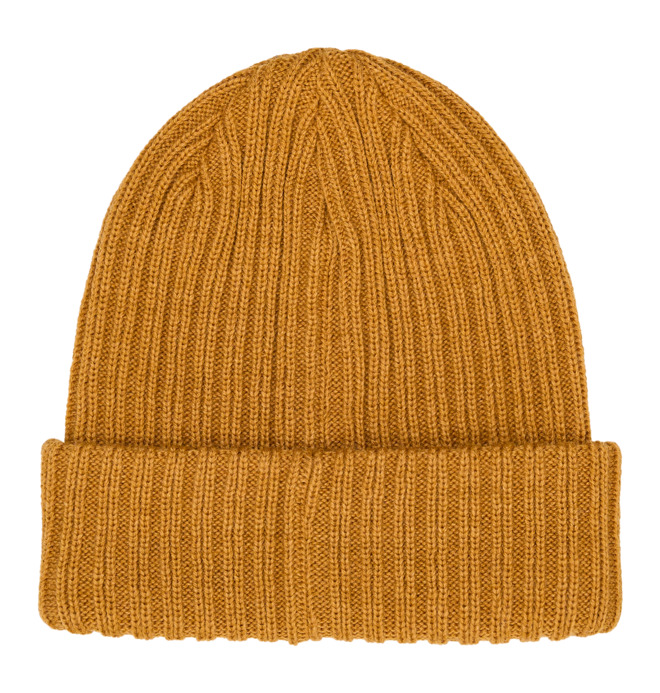 Fish N Destroy 2 - Beanie for Men  ADYHA04076