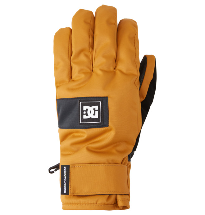 Franchise - Snowboard/Ski Gloves for Men  ADYHN03021