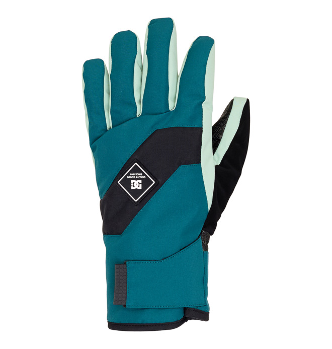 Franchise - Technical Snow Gloves for Men  ADYHN03030