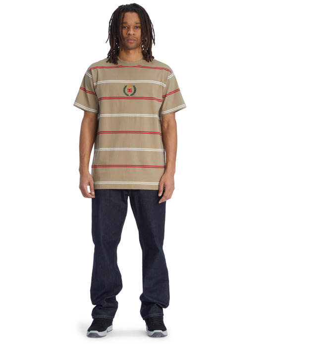Regal Stripe - Short Sleeve T-Shirt for Men  ADYKT03202
