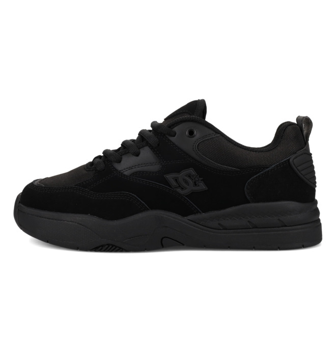 DC Ascend - Laceup Shoes for Men  ADYS100844