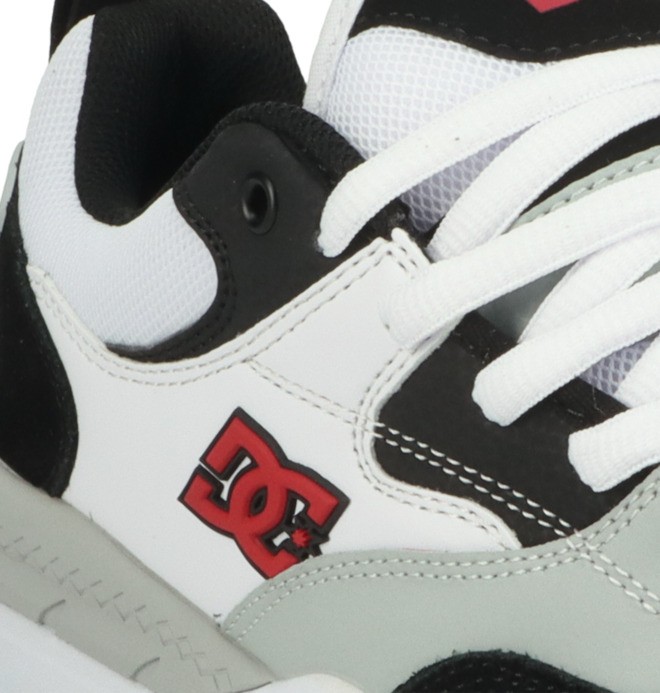 DC Ascend - Laceup Shoes for Men  ADYS100844