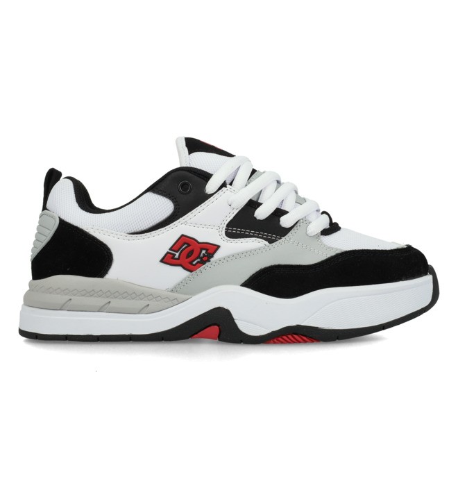 DC Ascend - Laceup Shoes for Men  ADYS100844