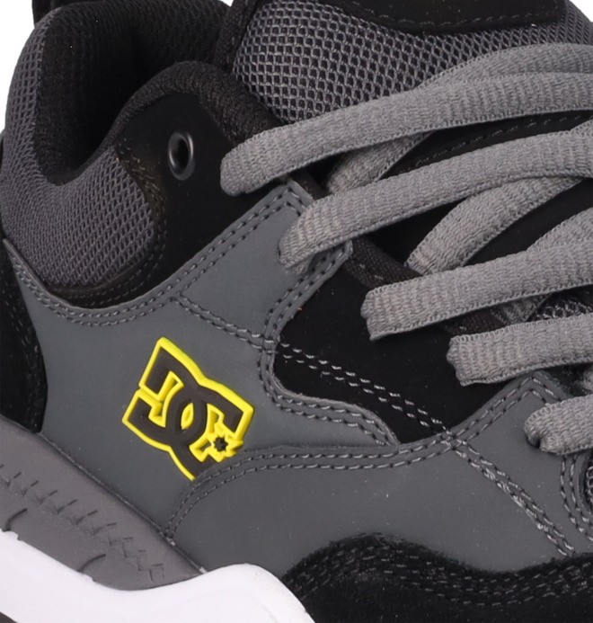 DC Ascend - Laceup Shoes for Men  ADYS100844