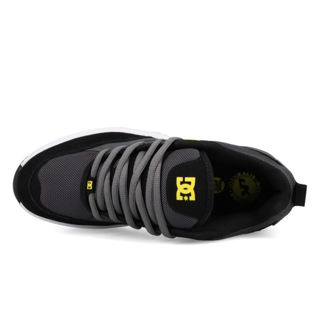 DC Ascend - Laceup Shoes for Men  ADYS100844