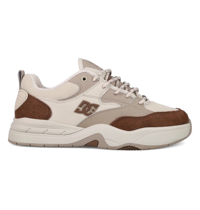 DC Ascend - Laceup Shoes for Men  ADYS100844