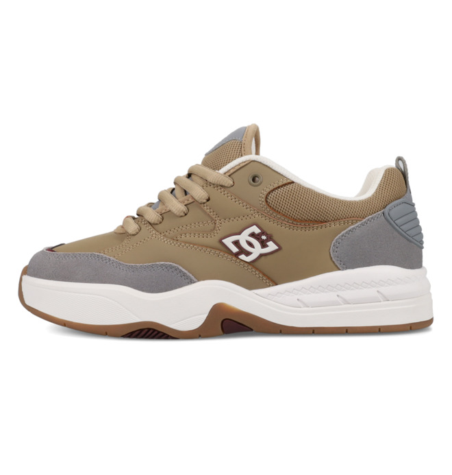 DC Ascend - Laceup Shoes for Men  ADYS100844