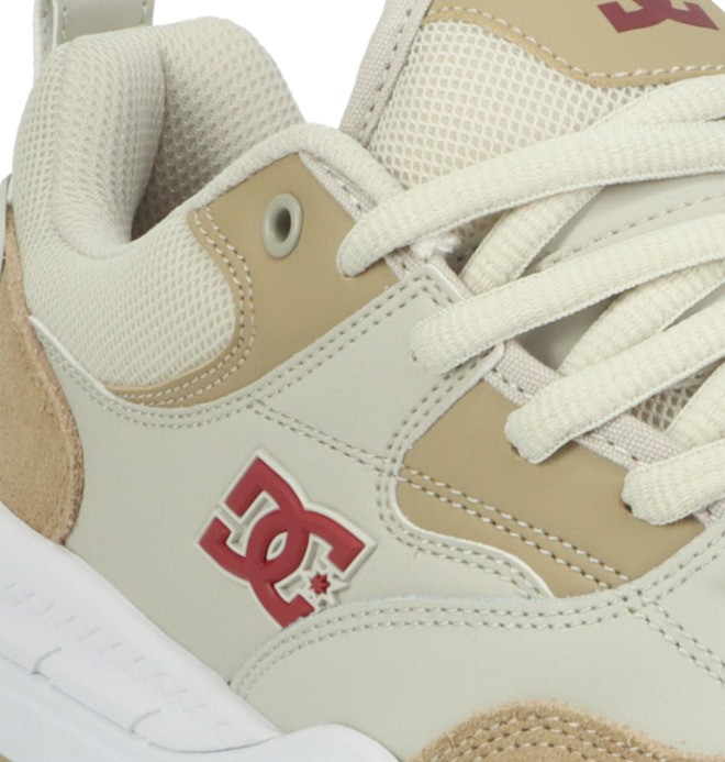 DC Ascend - Laceup Shoes for Men  ADYS100844