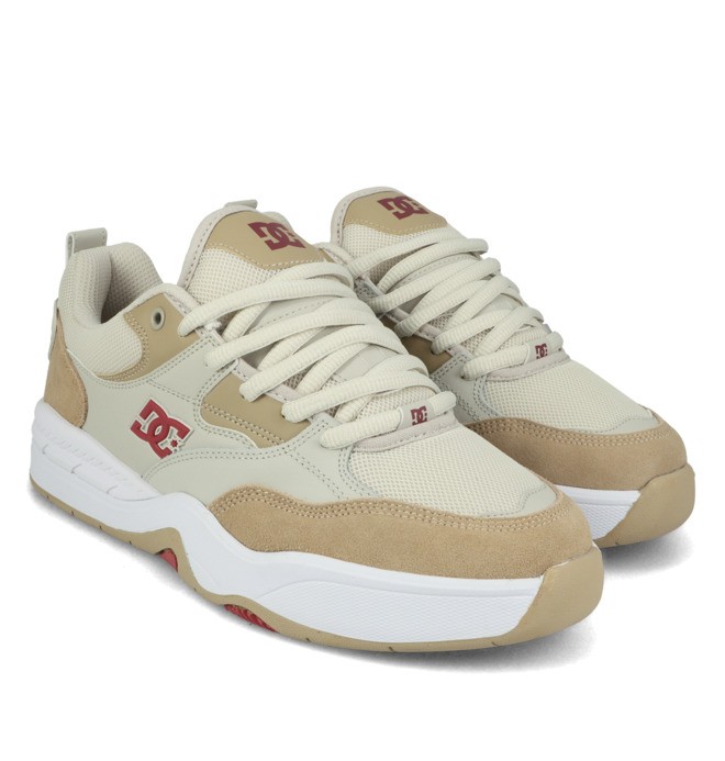 DC Ascend - Laceup Shoes for Men  ADYS100844